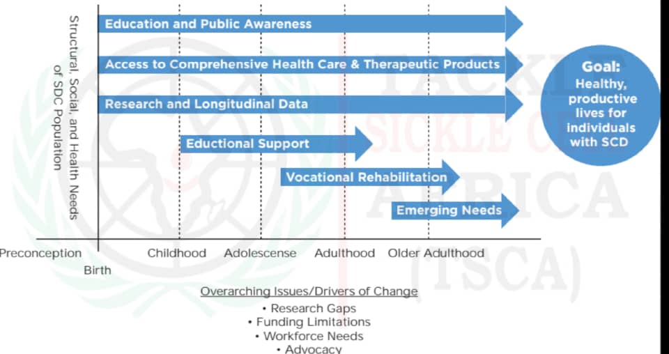 TSCA Strategic Framework Chart showing lifespan approach to SCD